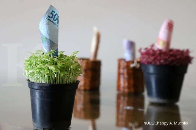 Pinnacle Investment: Bisnis Kontrak Pengelolaan Dana Positif Hingga Akhir 2024