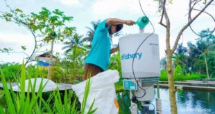 Bank Kreditur eFishery Dibayangi Potensi Kredit Macet