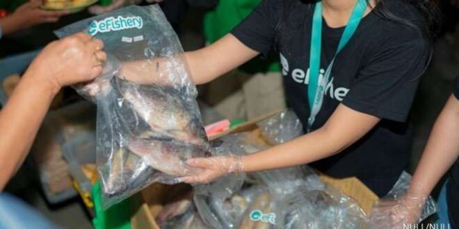 Kisruh eFishery, Sejumlah Bank Ini Dibayangi Potensi Kredit Macet