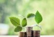 Pentingnya Pendidikan Finansial bagi Anak dari Kecil