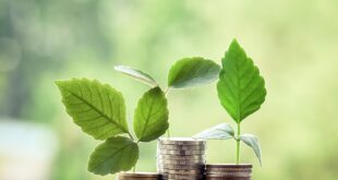 Pentingnya Pendidikan Finansial bagi Anak dari Kecil