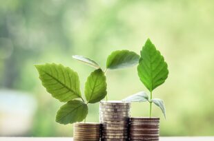 Pentingnya Pendidikan Finansial bagi Anak dari Kecil