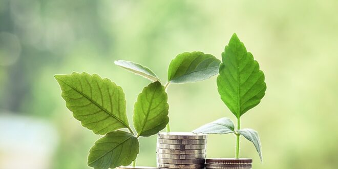 Pentingnya Pendidikan Finansial bagi Anak dari Kecil