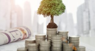 Cara Raih Kemerdekaan Finansial di Era Digital
