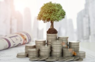 Cara Raih Kemerdekaan Finansial di Era Digital
