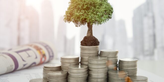 Cara Raih Kemerdekaan Finansial di Era Digital