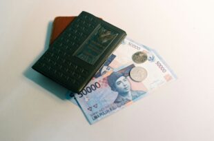 Merdeka Finansial Itu Nyata! Kenali Arti dan Tandanya Biar Hidup Gak Cuma Ngejar Gaji