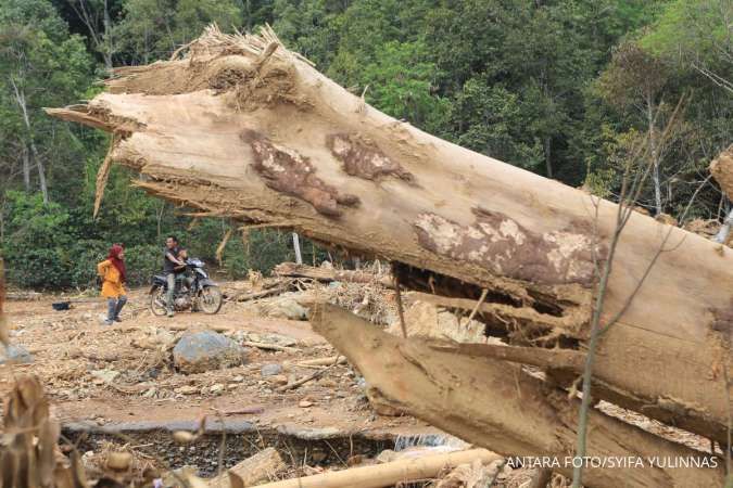 Berhentilah Menebang Masa Depan