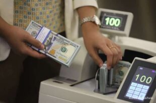 Dana DHE Hanya Bisa Masuk Bank Himbara, Begini Efeknya ke Likuiditas Valas