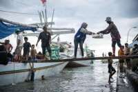 BRI Salurkan KUR Rp 178,08 Triliun pada 2025, Sektor Produksi Mendominasi